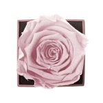 Sovelle XXS- One Rose with Square Box - Image 3