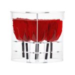 Lumira HZ-6 Roses with Crystal Heart Box - Image 4