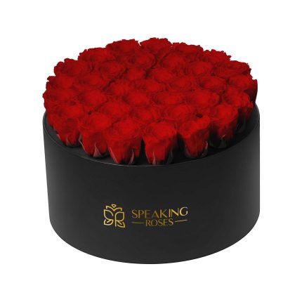 Domora Bloom-35 Roses with Black Box