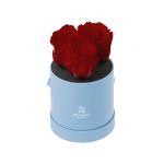 Sovelle XXS - 3 Roses with Round Box
