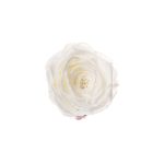 Solo Bloom-One Rose with Square Box - Image 3