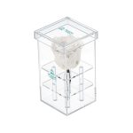 Luxara Uno-One Rose with Crystal Box