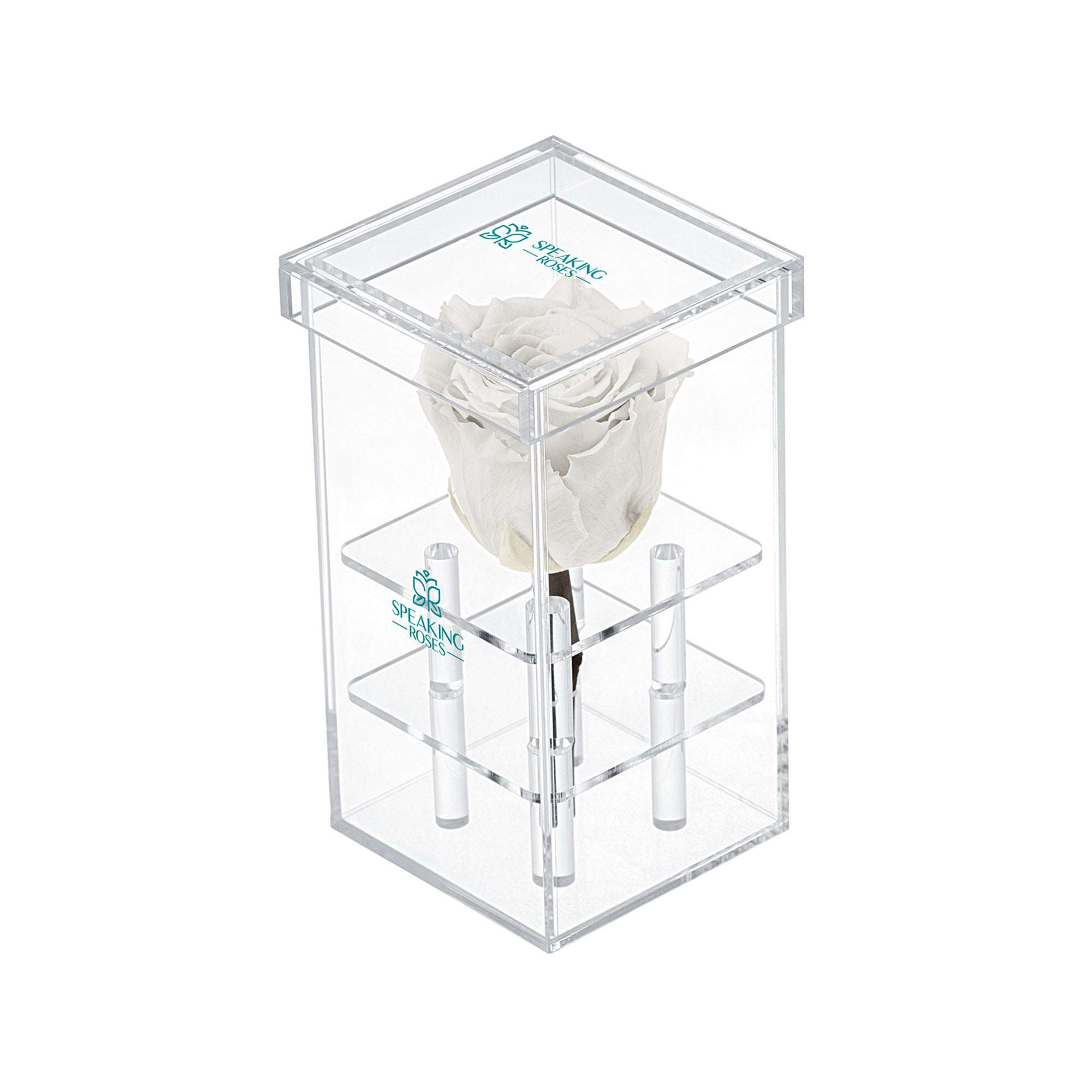 Square1Tblanco45_izquie_80c4a53c-84e0-4d1d-8ef2-8027b2781f7a Luxara Uno-One Rose with Crystal Box - Image 1