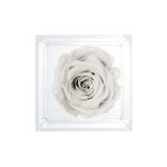 Luxara Uno-One Rose with Crystal Box - Image 3