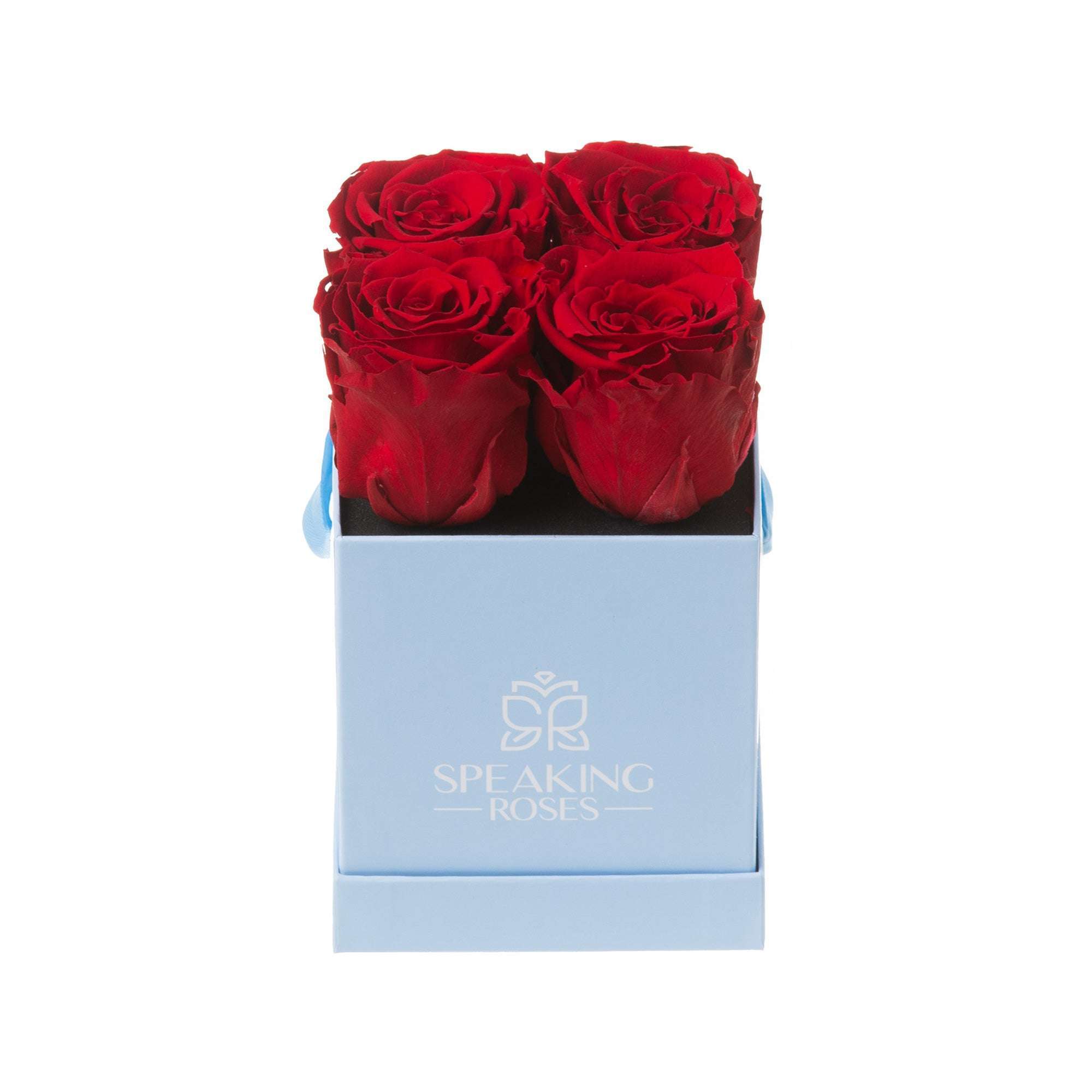 SquareXSrojo45_frontal_560cacb9-f081-47fe-b317-168a155fce9e Sovelle OXS-4 Roses with Square Box - Image 1