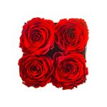 Sovelle OXS-4 Roses with Square Box - Image 3