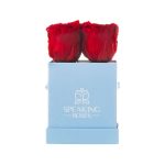 Sovelle OXS-4 Roses with Square Box - Image 4